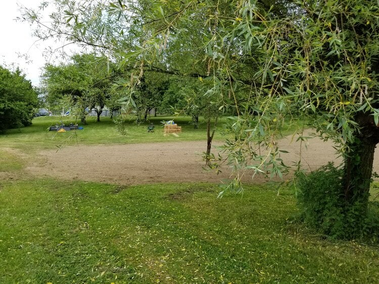 lawn reconditioning three