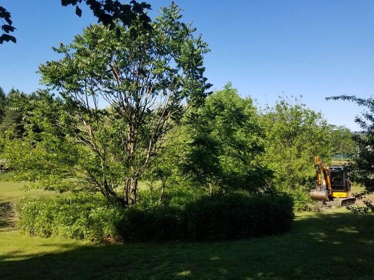 lawn reconditioning three