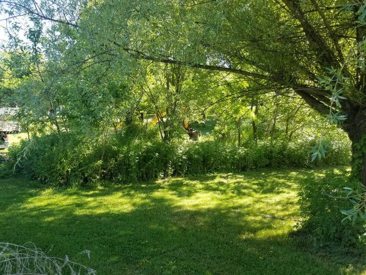 lawn reconditioning three