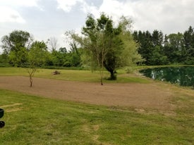 lawn reconditioning three thumb