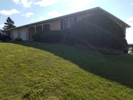 lawn reconditioning thumb